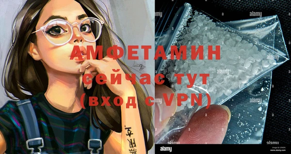 дмт Алзамай