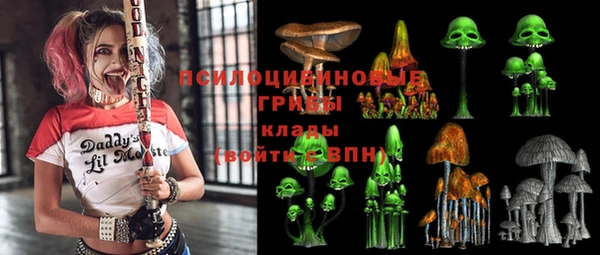 дмт Алзамай