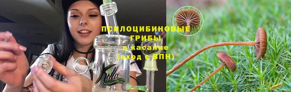 дмт Алзамай
