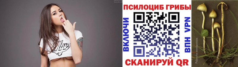 продажа наркотиков  Котельники  MEGA зеркало  Галлюциногенные грибы Cubensis 